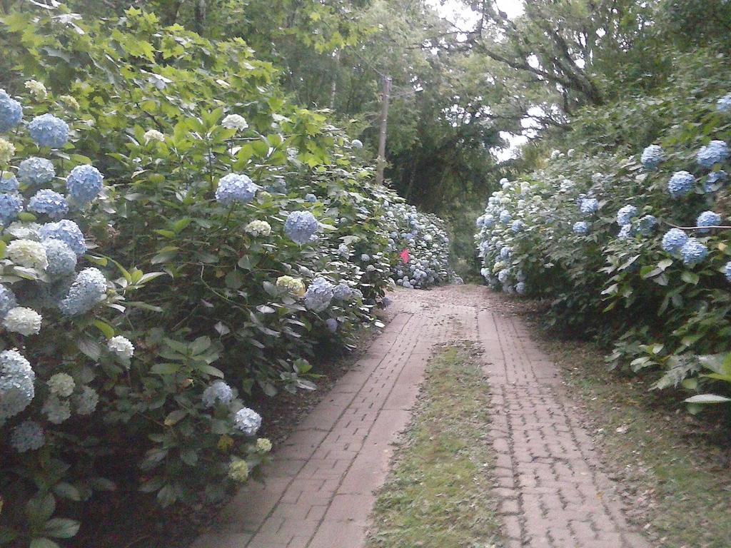 Nanda'S House Pousada 호텔 São Francisco de Paula 외부 사진